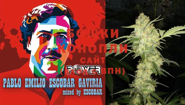 гидропоника Сатка