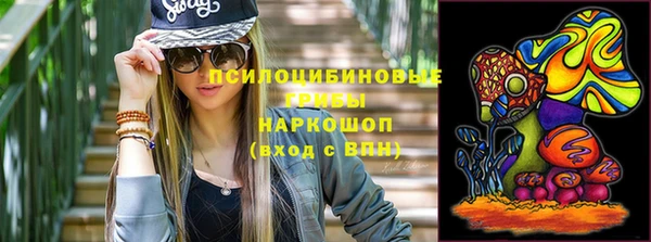 гидропоника Сатка