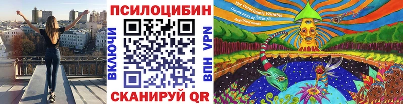 Галлюциногенные грибы Psilocybine cubensis  Анадырь 